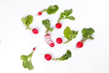 Small red radish on white background