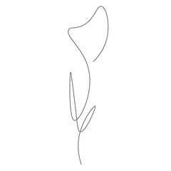 Flowers isolated on white background, continuous line drawing. Vector illustration