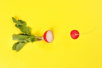 Small red radish on yellow background