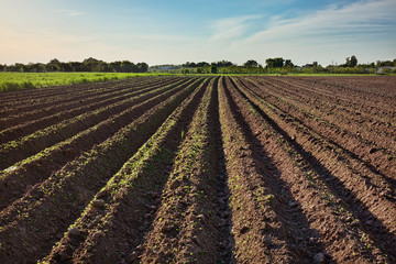 Ploughed field, springtime agricultural background