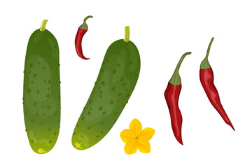 Set of cucumbers and red hot chilli peppers.
