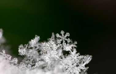 snowflake, little snowflake on the snow