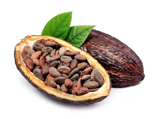 Cacao pod