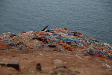 Rote Felsen von der Insel Helgoland mit lehren Vogelnestern aus Plastik