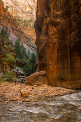 The spectacular and stunning Virgin River weaves through the Narrows, Zion National Park, USA