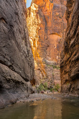 The spectacular and stunning Virgin River weaves through the Narrows, Zion National Park, USA