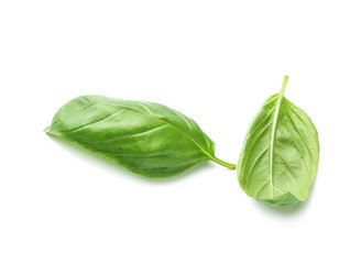 Fresh basil leaves on white background