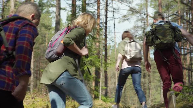 Team of four young travelers with backpacks walking through pine forest during group hike, back view follow shot
