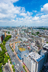 Fototapeta premium 東京風景 Tokyo city skyline , Japan.
