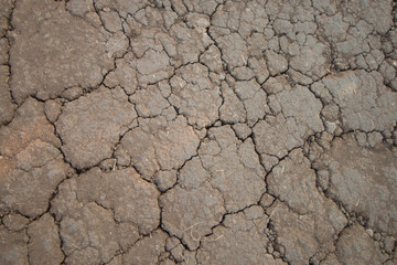 dry cracked earth background