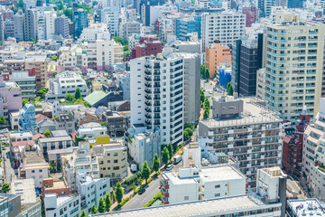 Fototapeta premium 東京風景 Tokyo city skyline , Japan.