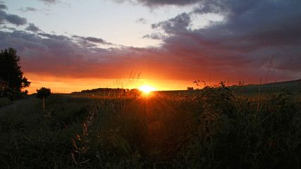 Obraz premium Sonnenuntergang im Feld