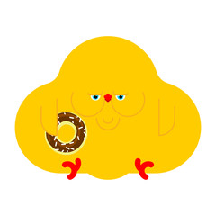 Fat chicken. Small chicken chick with obesity