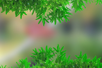 Green leave on top and below with copy space on blue background.