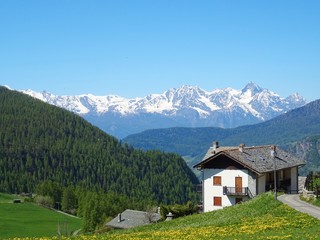 Fototapeta na wymiar A small mountain town in the Italian Alps: Chamois, Valle d'aosta, Italy - June 2019.