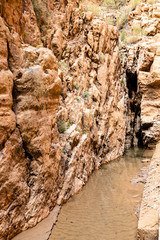a trip trough the Wadi Todgha in the Little Atlas mountains