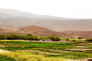 a trip trough the Wadi Todgha in the Little Atlas mountains