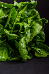 Green fresh spinach on a black background