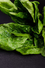 Green fresh spinach on a black background