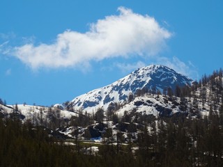 The mountains of the Italian Alps, in Val d'aosta, near the village of Chamois, Italy - June 2019.