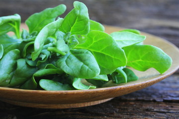 Tetragonia tetragonioides, New Zealand spinach on wooden background