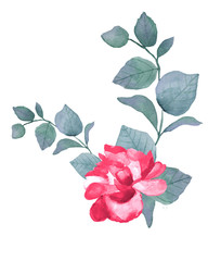 Watercolor hand painted wreath with green eucalyptus leaves, peony flowers and branches. Spring or summer flowers for invitation, or greeting cards.