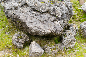 Moss on stone in autumn