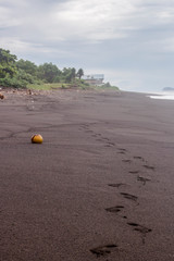 Tropical coastline of Pantai Wates. Footprints and a coconut shell lying in the black sand beach with hut in background
