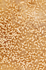 Yeast in dough as background