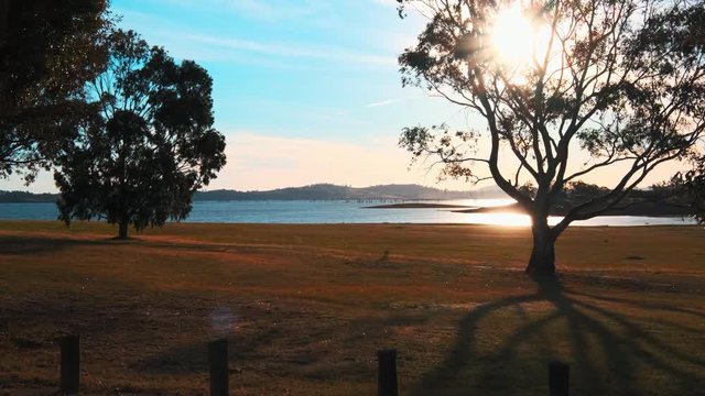 Dolly shot moving between trees, towards the beach and the sunset, at lake Huma, on a sunny evening, at Hume Reservoir, at New South Wales and Victoria, in Australia