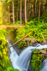 Beautiful Sunrise Hike to Sol Duc Falls in Hoh Rainforest in Olympic National Park, Washington