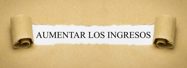 Aumentar los ingresos