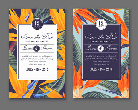 Wedding or party invitation template. Save the Date cards with Strelitzia Reginae, called bird of paradise. Hand drawn, tropical botanical design in realistic style. Vector art for party decoration.