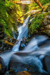 Fototapeta na wymiar Beautiful Sunrise Hike to Sol Duc Falls in Hoh Rainforest in Olympic National Park, Washington