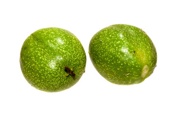 walnut isolated on white background