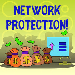 Writing note showing Network Protection. Business concept for protect the usability and integrity of the network Bag with Dollar Currency Sign and Arrow with Blank Banknote