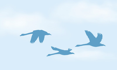 Realistic illustration of blue sky with white clouds and space for text. Flying three swan, vector
