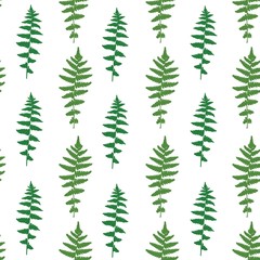 Fototapeta na wymiar Seamless vector pattern of green leaves of fern.