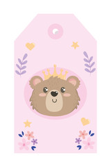 Isolated bear cartoon design vector illustration
