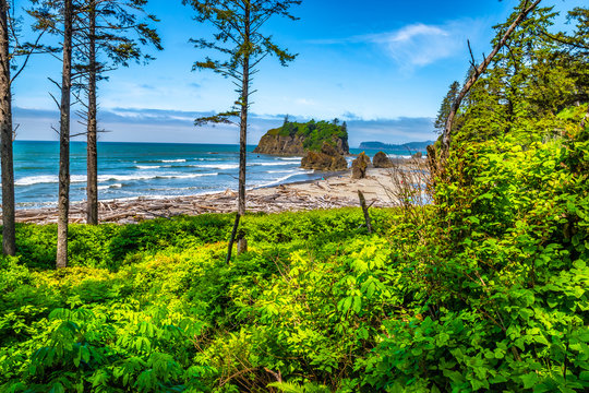 Beautiful Morning Hike on Ruby Beach in Olympic National Park, Washington