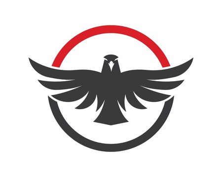 falcon,eagle logo icon vector illustration design