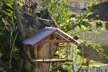 bird on feeder