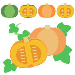 オレンジ&緑のかぼちゃセット（一玉、カット）