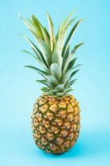 Fresh ripe pineapple on blue background