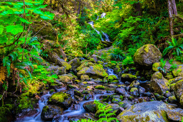 Beautiful Day at Bunch Falls in Olympic National Park in Washington