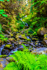 Beautiful Day at Bunch Falls in Olympic National Park in Washington