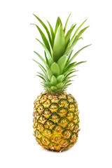 Ripe fresh pineapple