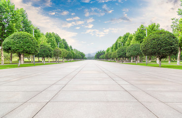 Broad roads with many trees planted on both sides