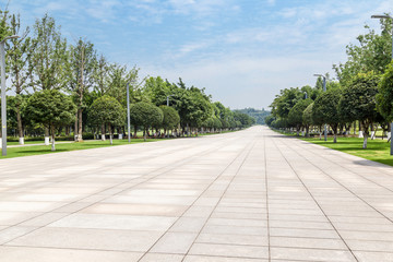 empty roads with many trees planted on both sides, in the park