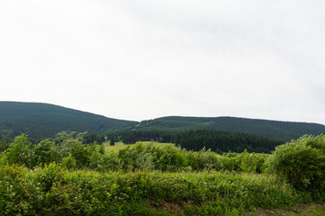 Green spring nature flourishing towards mountain top